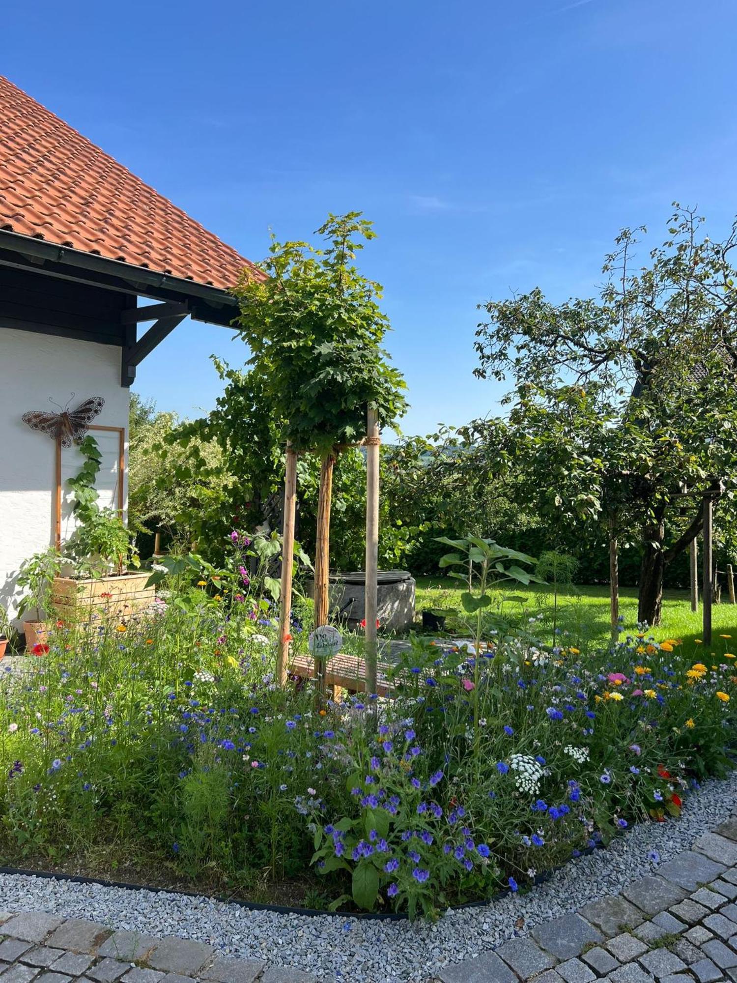 Ferienwohnung Anita Jandelsbrunn Exterior foto